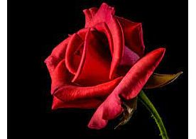 Sheetal Beauty Parlour