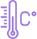 Temperature Record